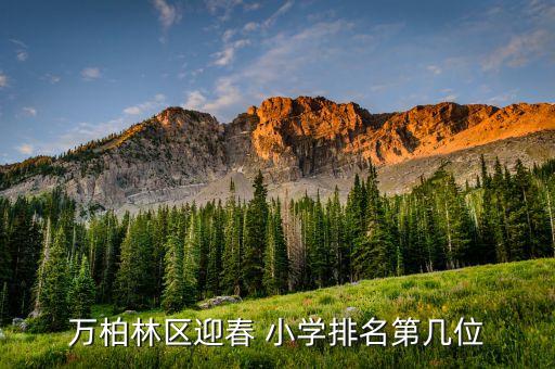 萬柏林區(qū)迎春 小學(xué)排名第幾位