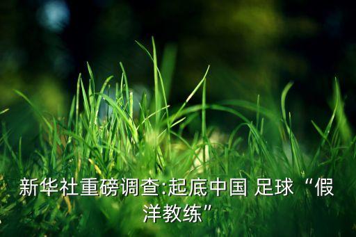 上海足球青訓(xùn)市場,上海上港足球青訓(xùn)基地怎么樣