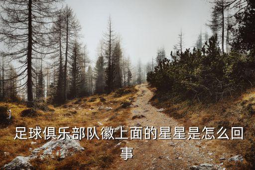  足球俱樂部隊徽上面的星星是怎么回事