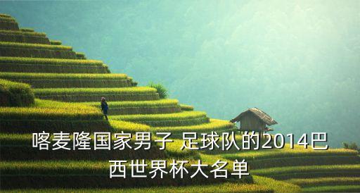喀麥隆國家男子 足球隊的2014巴西世界杯大名單