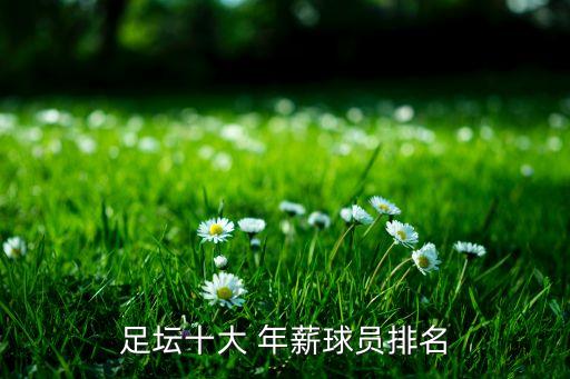 足壇十大 年薪球員排名