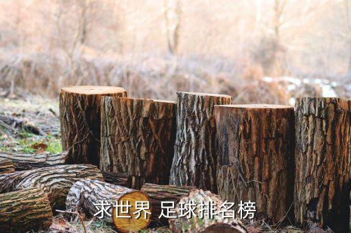 足球比賽結(jié)果 新西蘭 秘魯,中國隊(duì)對新西蘭隊(duì)足球比賽結(jié)果