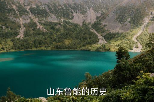 山東魯能的歷史