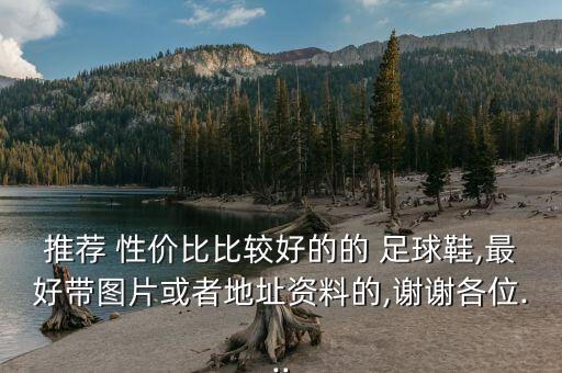 推薦 性價比比較好的的 足球鞋,最好帶圖片或者地址資料的,謝謝各位...