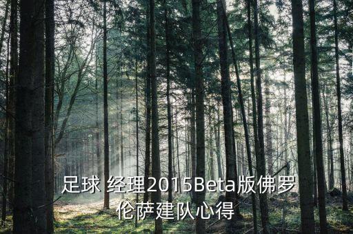  足球 經(jīng)理2015Beta版佛羅倫薩建隊心得