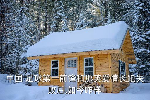 中國(guó) 足球第一前鋒和那英愛情長(zhǎng)跑失敗后,如今咋樣