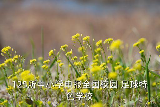 125所中小學(xué)申報全國校園 足球特色學(xué)校