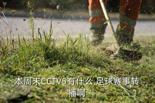 本周末CCTV5有什么 足球賽事轉(zhuǎn)播啊