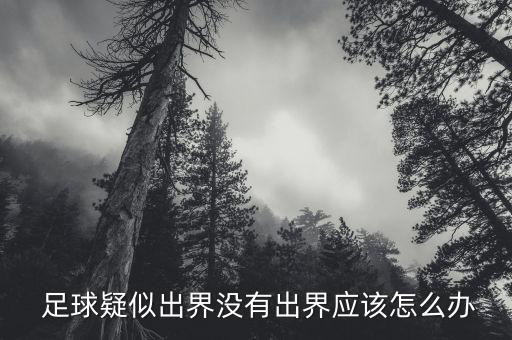  足球疑似出界沒有出界應該怎么辦