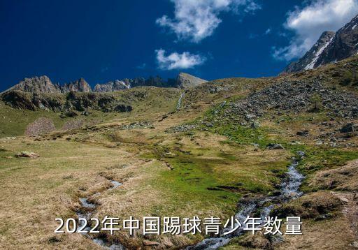 2022年中國踢球青少年數(shù)量