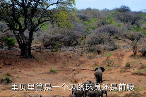 里貝里算是一個(gè)邊路球員還是前腰