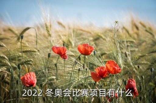 2022 冬奧會(huì)比賽項(xiàng)目有什么