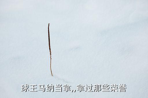 球王馬納當(dāng)拿,,拿過(guò)那些榮譽(yù)