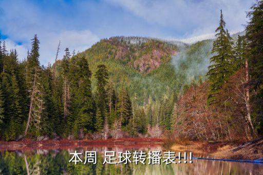 東南足球錦標(biāo)賽直播,2023年青少年足球錦標(biāo)賽直播
