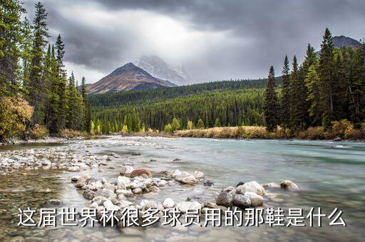 球星穿什么足球鞋,梅西穿什么足球鞋