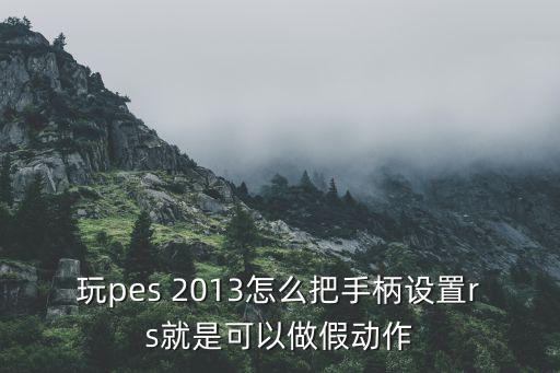 玩pes 2013怎么把手柄設(shè)置rs就是可以做假動(dòng)作