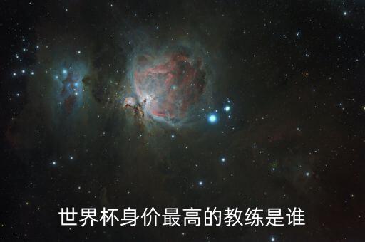 世界杯身價(jià)最高的教練是誰(shuí)