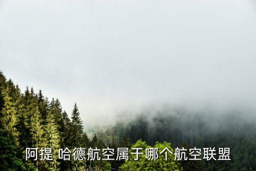 阿提 哈德航空屬于哪個(gè)航空聯(lián)盟