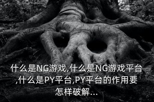 什么是NG游戲,什么是NG游戲平臺,什么是PY平臺,PY平臺的作用要怎樣破解...