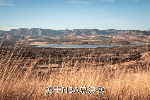 關(guān)于NBA總決賽