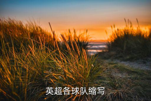 英超各球隊(duì)縮寫(xiě)
