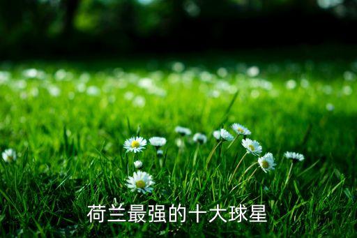 荷蘭最強(qiáng)的十大球星