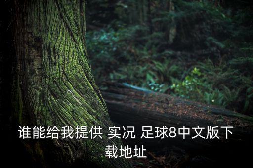 誰能給我提供 實況 足球8中文版下載地址