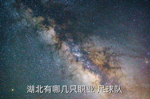 湖北有哪幾只職業(yè) 足球隊