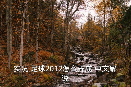 實況 足球2012怎么弄成 中文解說