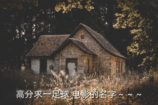 高分求一足球 電影的名字～～～