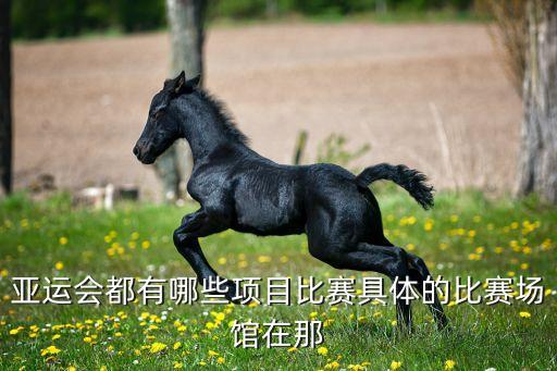 天河體育館足球2月14,武鋼體育館足球培訓