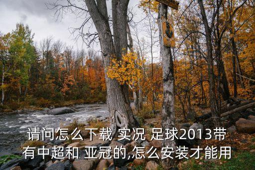 請(qǐng)問怎么下載 實(shí)況 足球2013帶有中超和 亞冠的,怎么安裝才能用