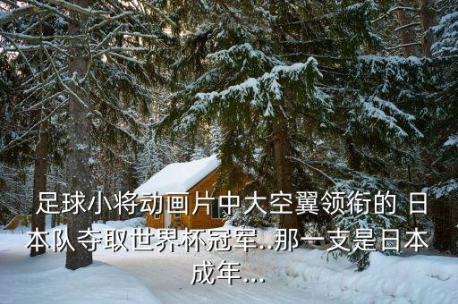  足球小將動畫片中大空翼領(lǐng)銜的 日本隊奪取世界杯冠軍..那一支是日本成年...