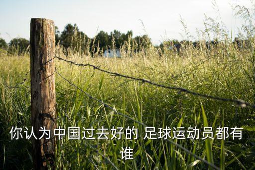你認(rèn)為中國(guó)過(guò)去好的 足球運(yùn)動(dòng)員都有誰(shuí)
