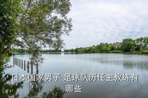 日本足球隊(duì)新帥,中國(guó)國(guó)家足球隊(duì)新帥