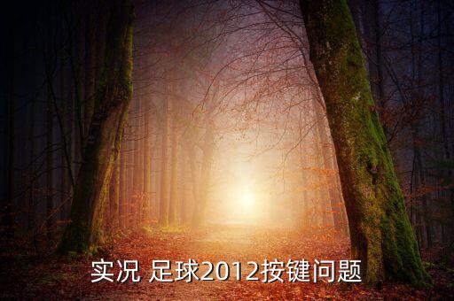 實(shí)況 足球2012按鍵問題