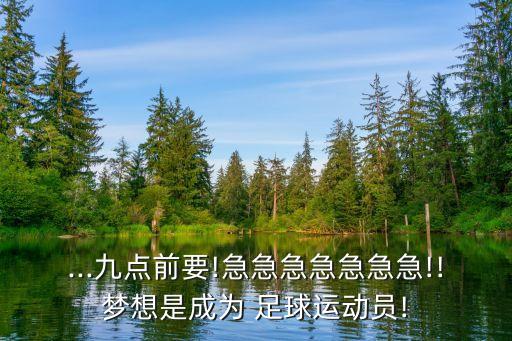 ...九點(diǎn)前要!急急急急急急急!!夢想是成為 足球運(yùn)動員!