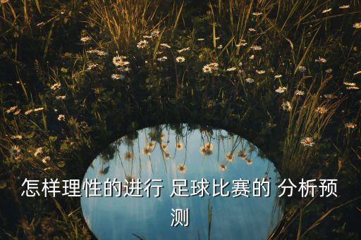 怎樣理性的進(jìn)行 足球比賽的 分析預(yù)測
