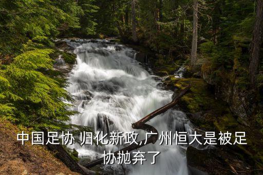 中國足協(xié) 歸化新政,廣州恒大是被足協(xié)拋棄了