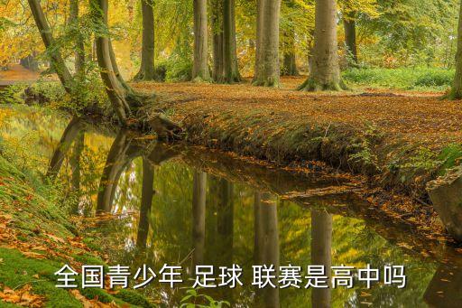 全國(guó)青少年 足球 聯(lián)賽是高中嗎