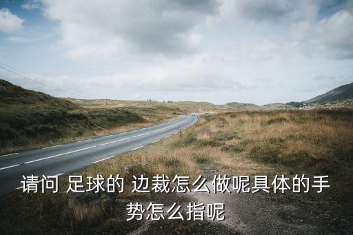 足球裁判邊裁舉旗,足球邊裁怎么舉旗圖解