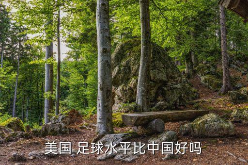 美國 足球水平比中國好嗎