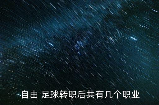  自由 足球轉(zhuǎn)職后共有幾個(gè)職業(yè)