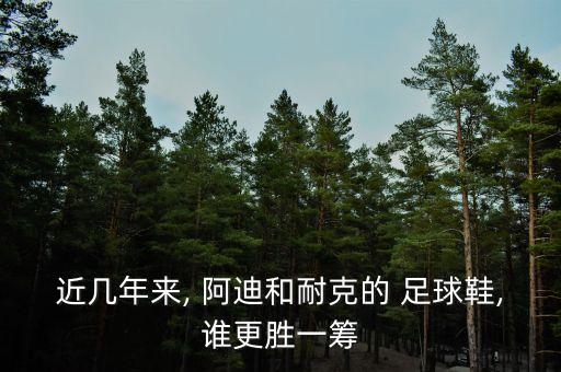 阿迪足球鞋16.3