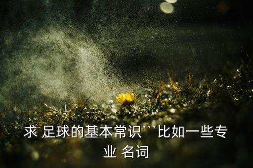 第三屆城運會(huì )足球名詞