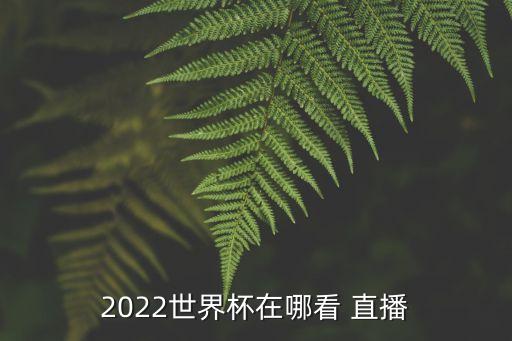 2022世界杯在哪看 直播