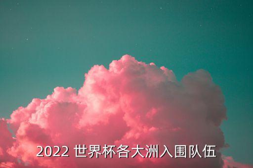 2022 世界杯各大洲入圍隊(duì)伍