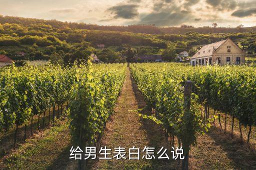 給踢足球男友的告白