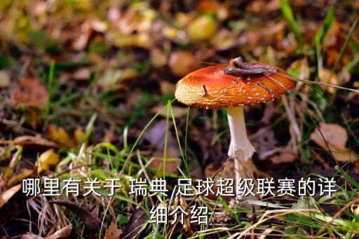 挪威戰(zhàn)瑞典足球,挪威和瑞典為什么分開了