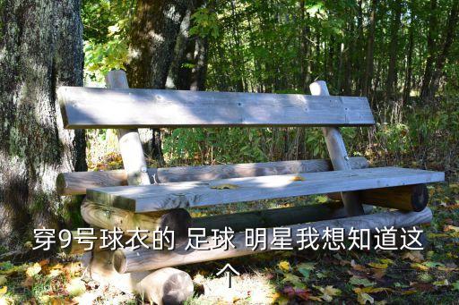 穿9號球衣的 足球 明星我想知道這個